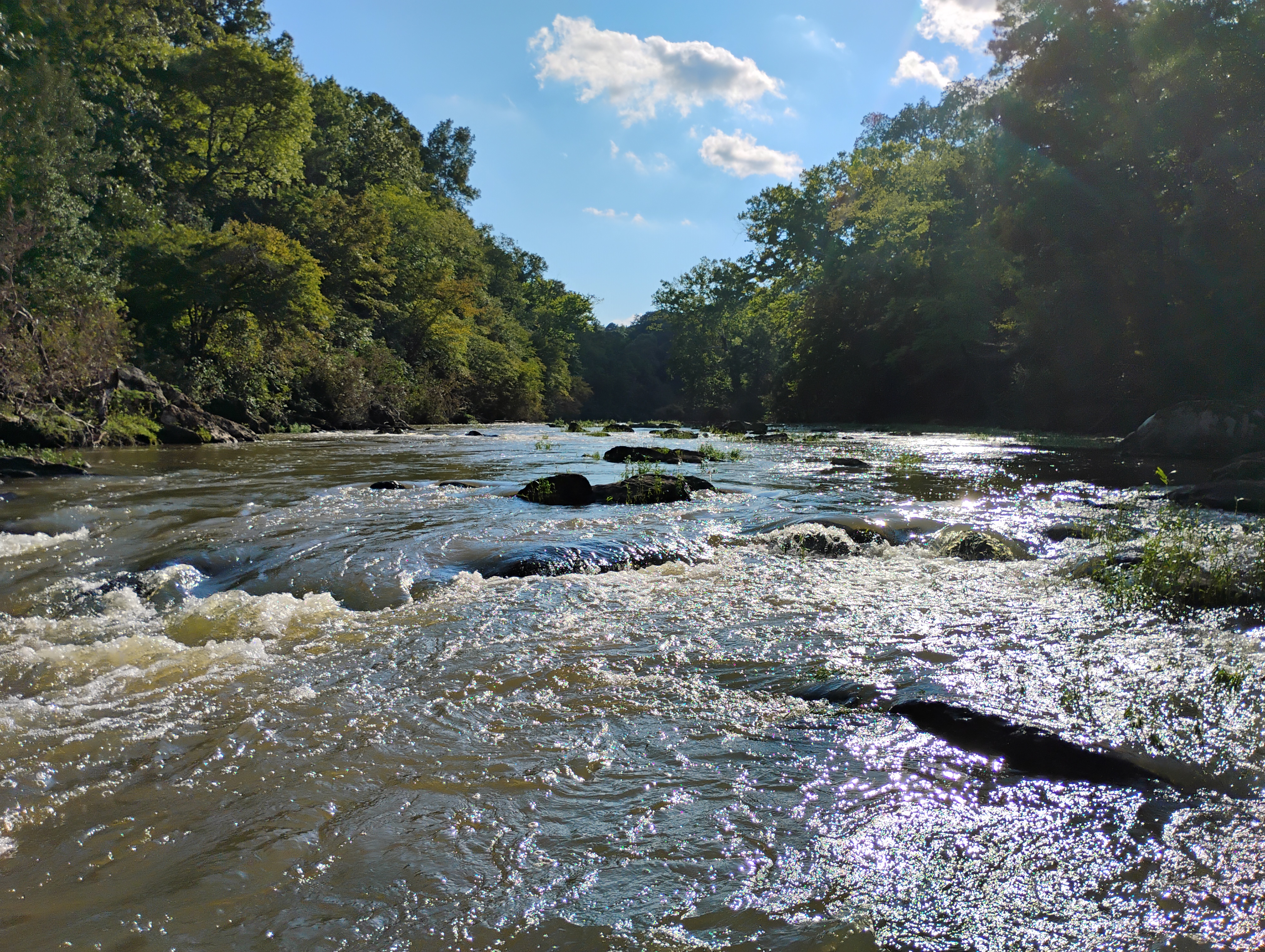 Eno River State Park